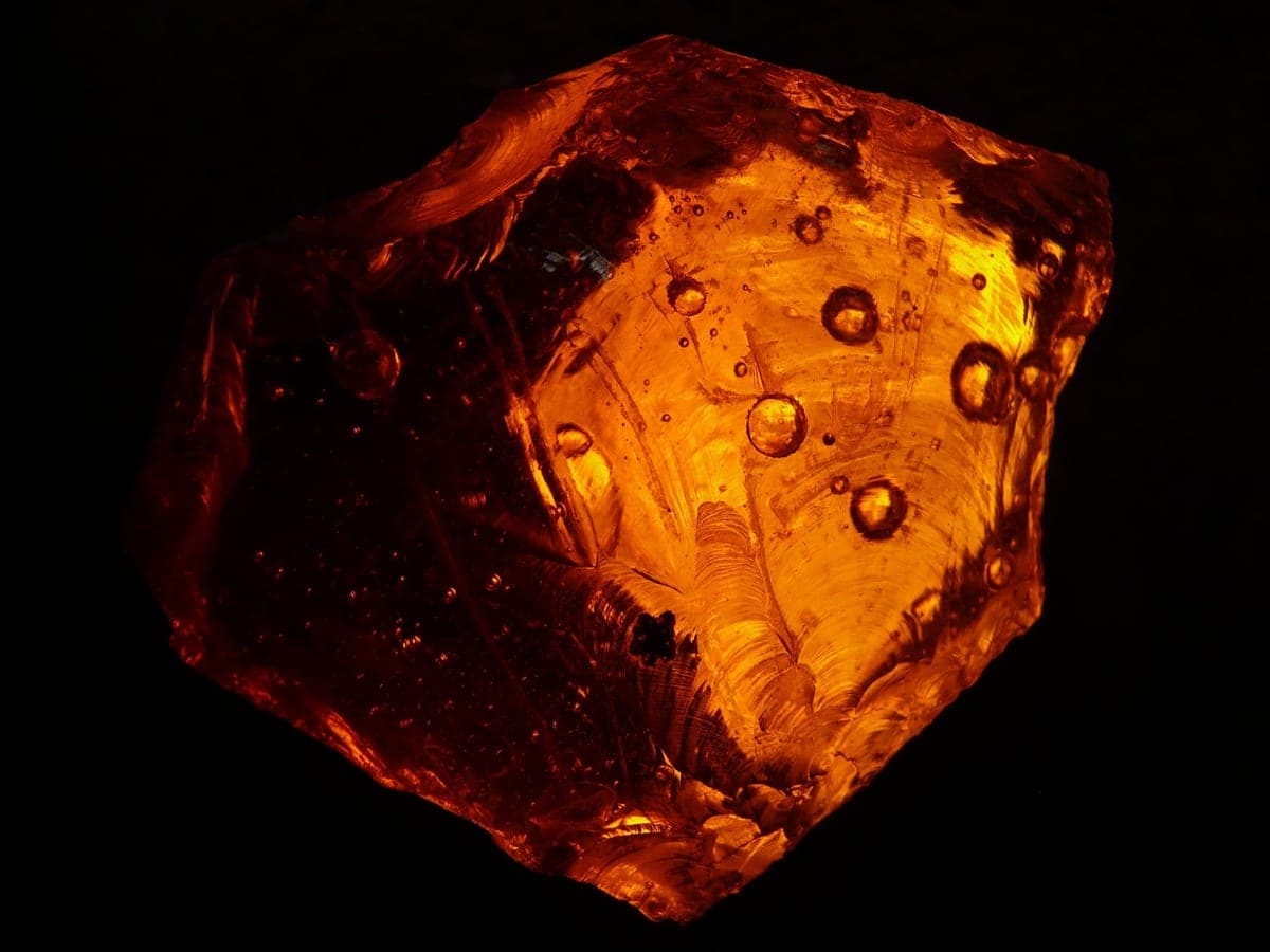 Amber resin pieces on a dark textured surface