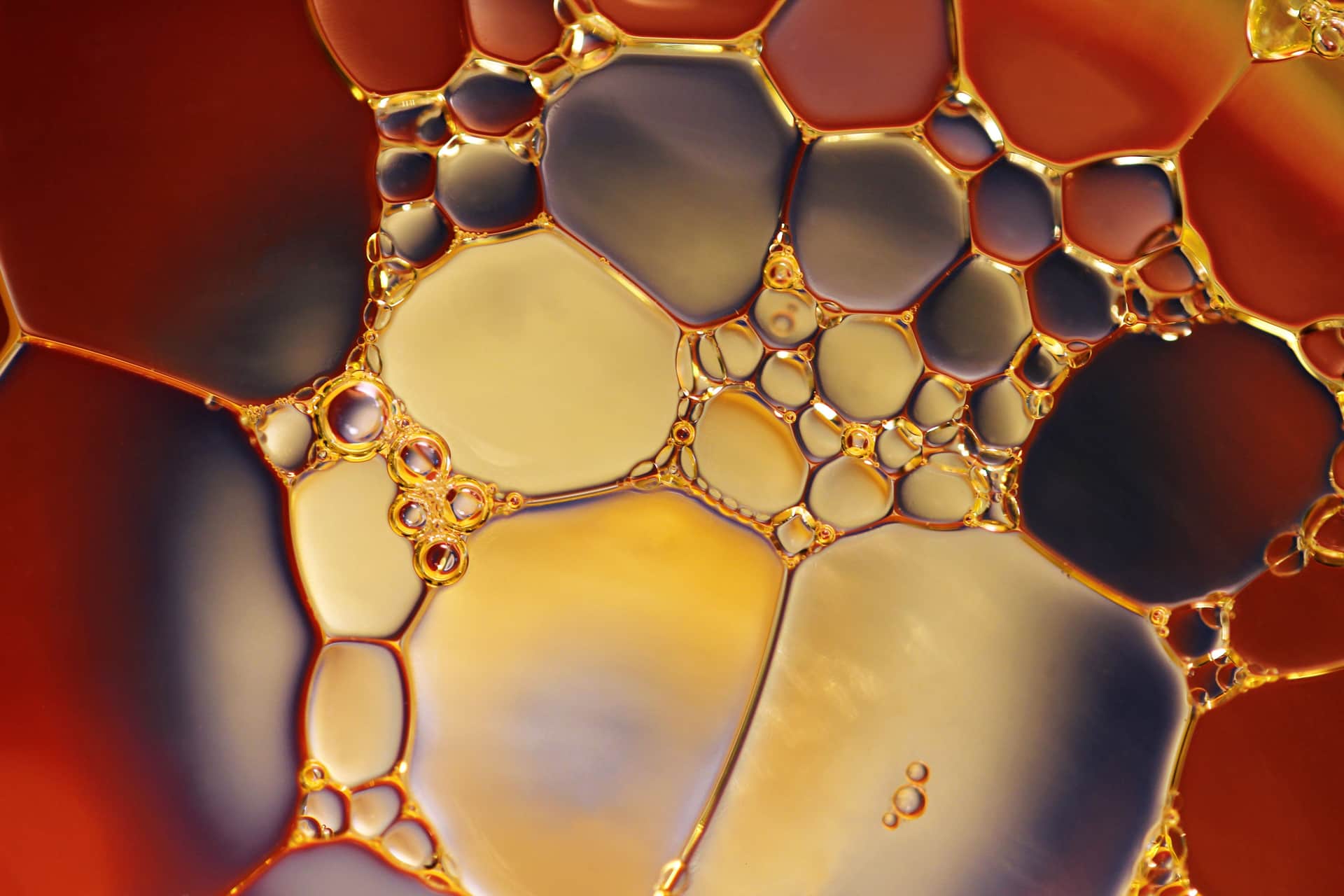 Golden oil droplets in close-up
