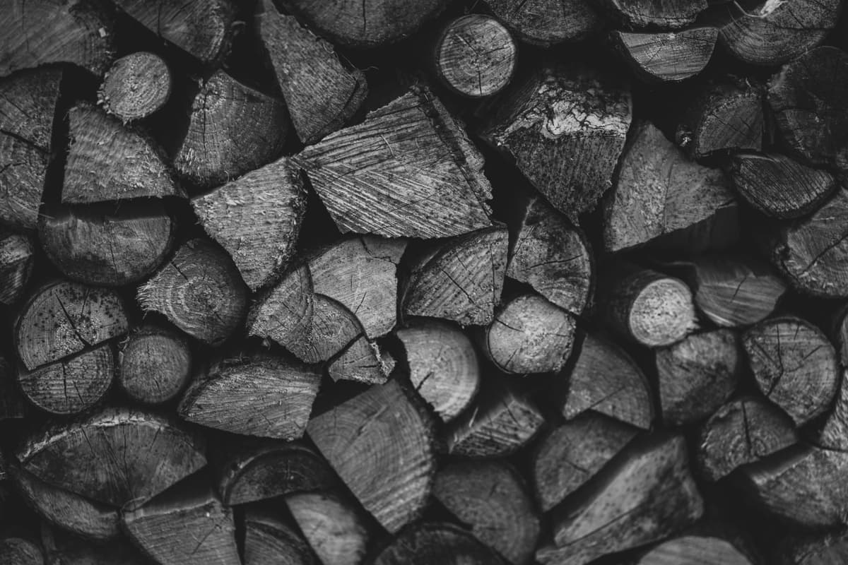 Cut sandalwood logs showing grain, photographed in low light