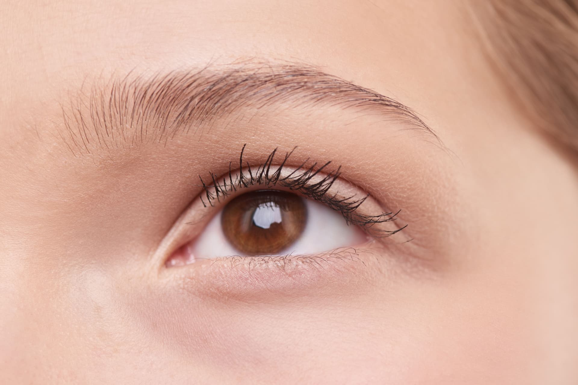 A close-up of an eye and a natural brown eyebrow